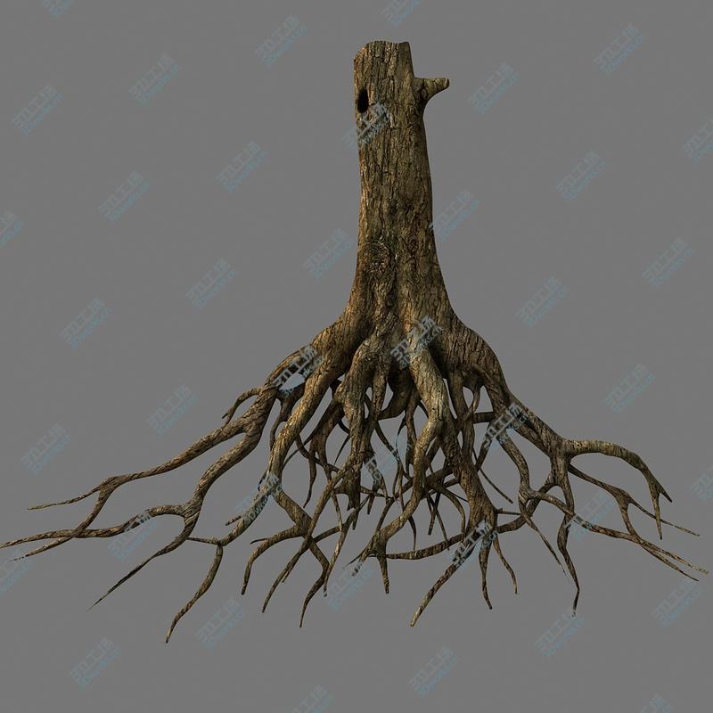 images/goods_img/2021040165/Tree Roots/2.jpg